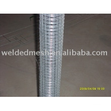 wire mesh fence/electro welding net welded wire mesh, FACTORY!